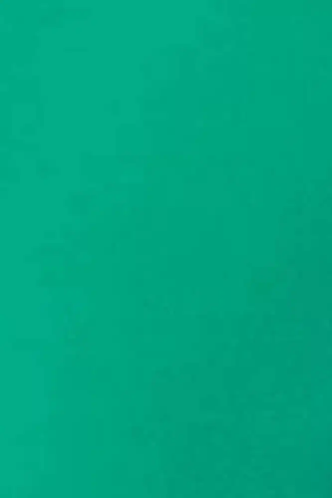 Sneaky Fox Ingrid Recycled micro 60 PH Jade