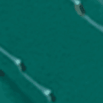 King Louie Fancy Belt Tree Green - La Vie en Rose Damesmode