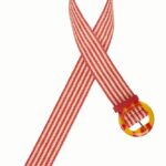 King Louie Striped Belt Chili Red - La Vie en Rose Damesmode