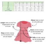 Seasalt Cornwall Dawson Pick Jumper Fern - La Vie en Rose Damesmode Enkhuizen