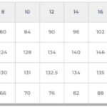 Seasalt Cornwall Polmanter Dress Linear Leaves Maritime - La Vie en Rose Damesmode