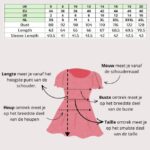 Seasalt Cornwall Sailor Top Tri Mini Cornish Lagoon - La Vie en Rose Damesmode Enkhuizen