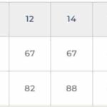 Seasalt Cornwall Westlin Trouser Pine Shoots - La Vie en Rose Damesmode