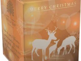 The English Soap Company 170 ml Soy Candle Reindeer