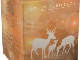 The English Soap Company 170 ml Soy Candle Reindeer