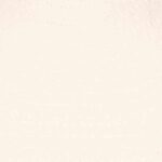 Very Cherry Lucia Cardigan Ecru - La Vie en Rose Damesmode